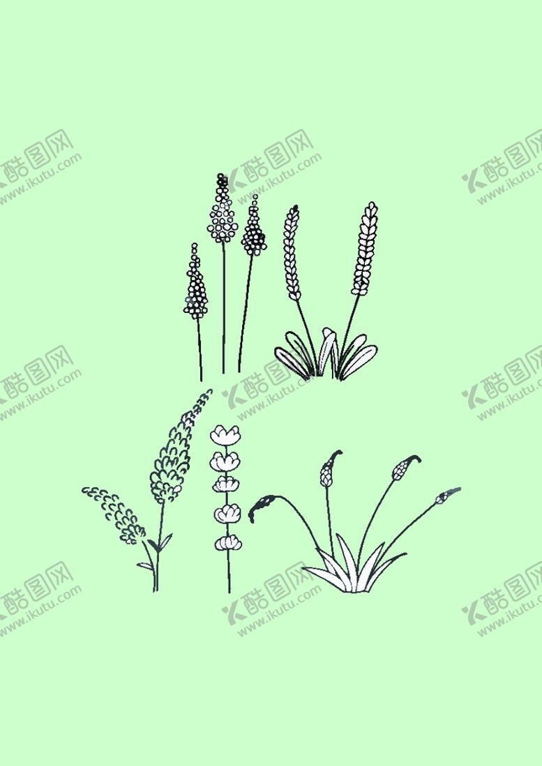 编号：56309810110912325804【酷图网】源文件下载-简笔画植物