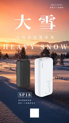 二十四节气大雪海报冬季景