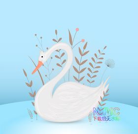 天鹅