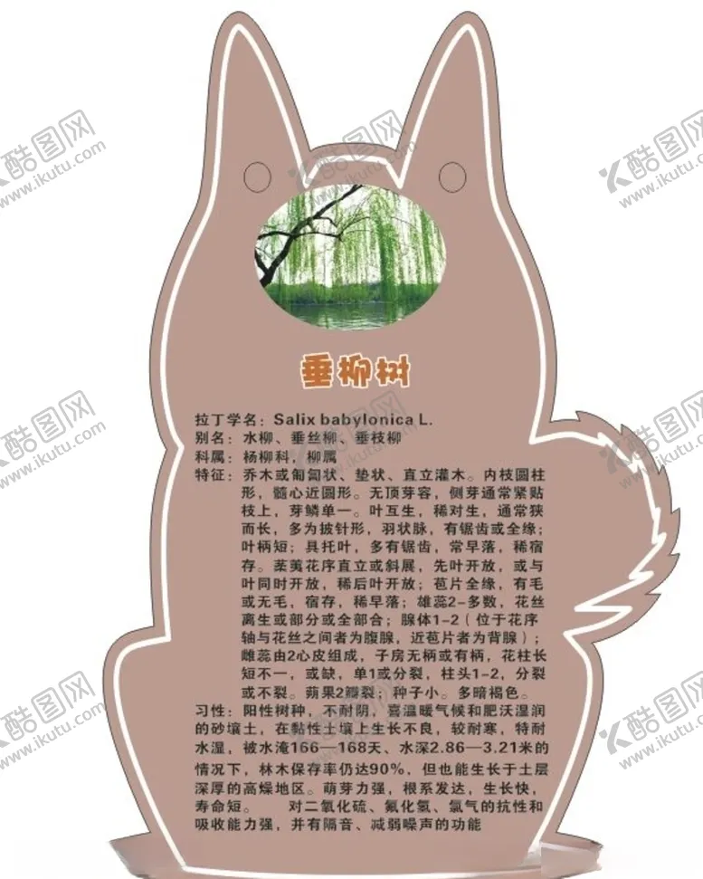 编号：32264004141759234040【酷图网】源文件下载-垂柳树简介牌植物简介牌