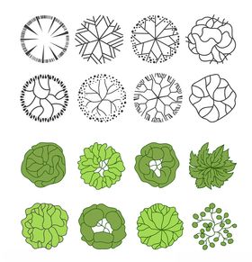 扁平风简约绿植俯视矢量元素