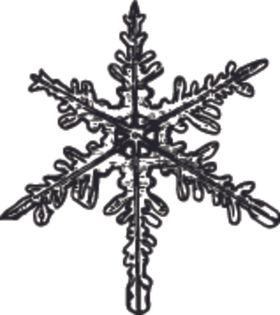 黑白手绘雪花