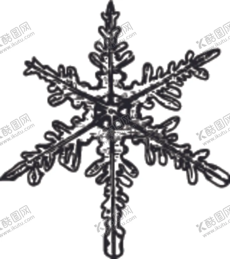 编号：77098805051906296405【酷图网】源文件下载-黑白手绘雪花