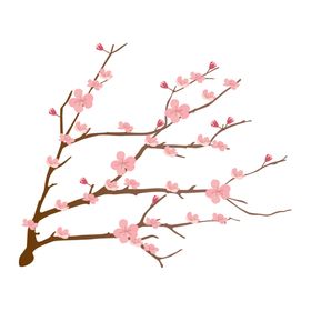 梅花素材