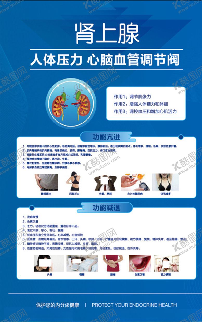 编号：55332310090137085573【酷图网】源文件下载-美容院