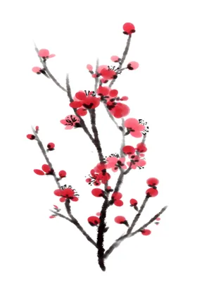 梅花素材水墨风小图标图片