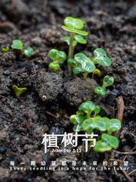 简约312绿色植树节海报