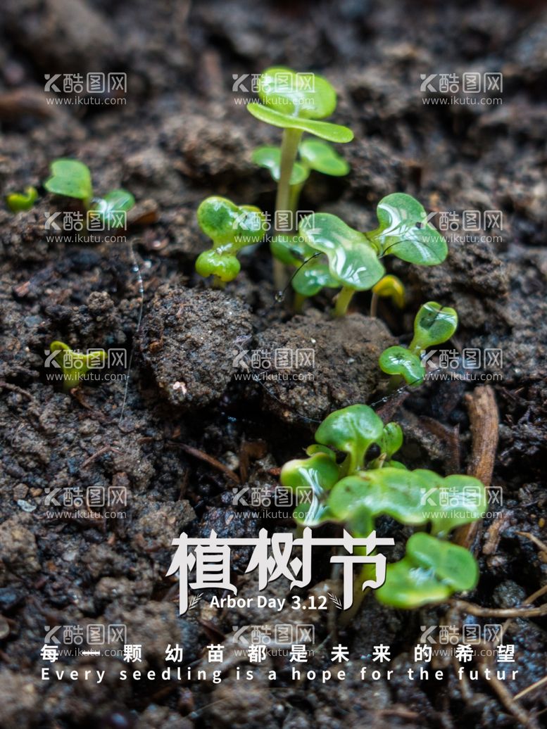 编号：30152803210624363902【酷图网】源文件下载-简约312绿色植树节海报