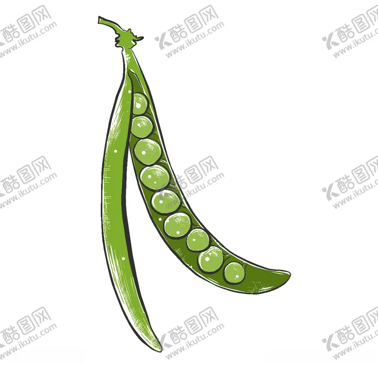 编号：49785606301635288111【酷图网】源文件下载-手绘蔬菜插画