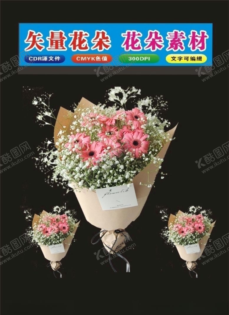 编号：66398209151023424046【酷图网】源文件下载-花朵多种矢量花朵