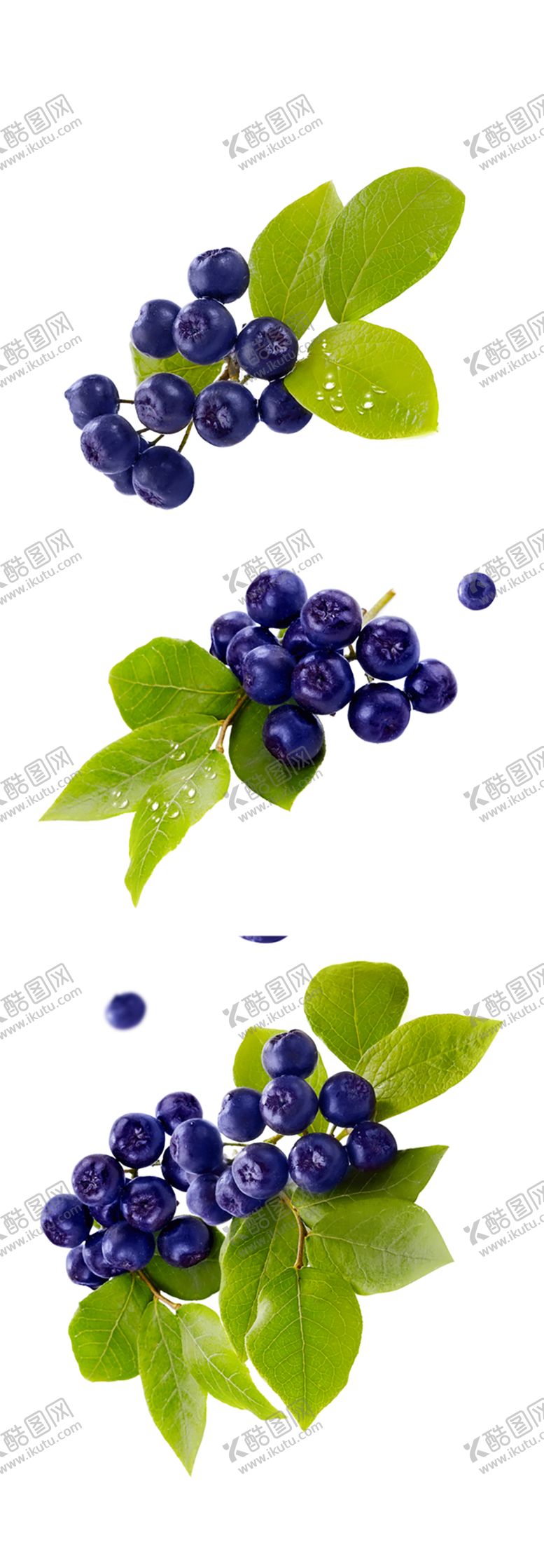 编号：45739609142307161372【酷图网】源文件下载-水果