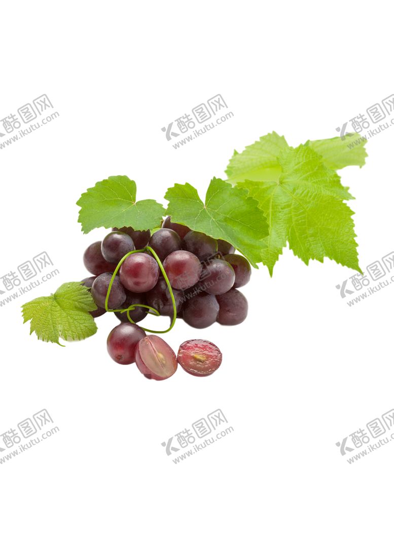 编号：57750205121854395056【酷图网】源文件下载-葡萄