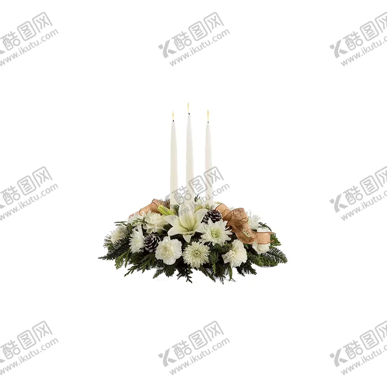 编号：25948201130913305405【酷图网】源文件下载-植物