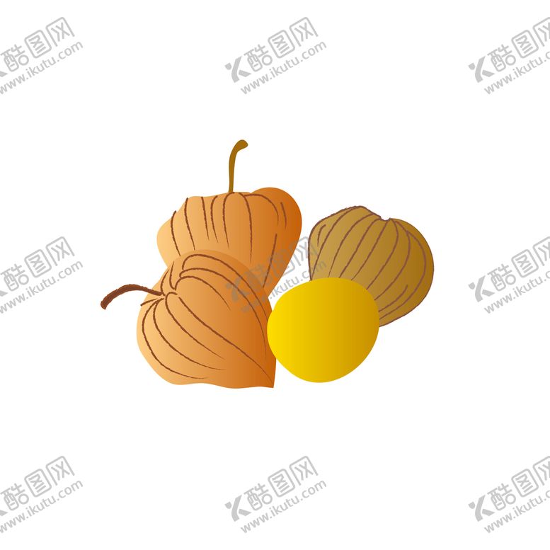 编号：86574109141904521307【酷图网】源文件下载-姑娘果新鲜水果热带水果