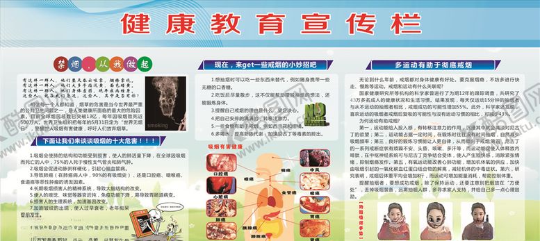 编号：36182407030943063216【酷图网】源文件下载-禁止吸烟健康教育宣传栏