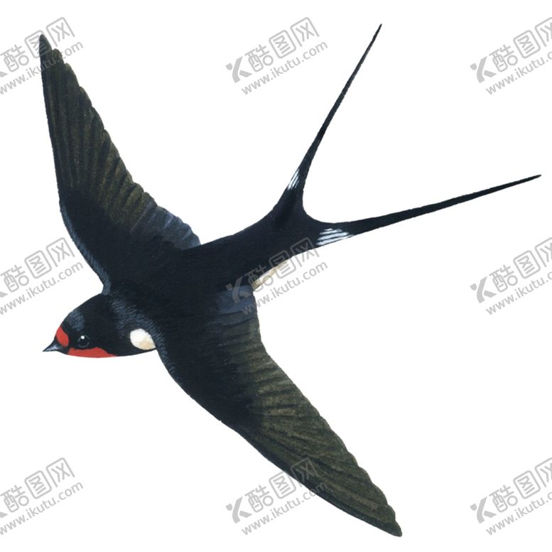 编号：42239509152047517059【酷图网】源文件下载-大雁素材