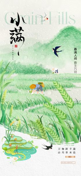 小满夏日稻田中的童趣画面