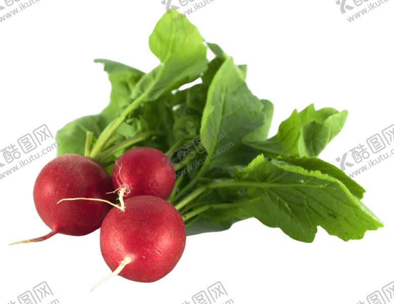 编号：82379809091331486628【酷图网】源文件下载-萝卜