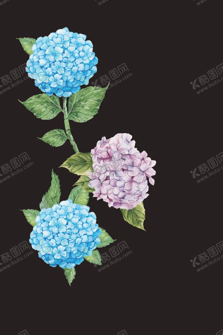 编号：40797903141117158846【酷图网】源文件下载-花花