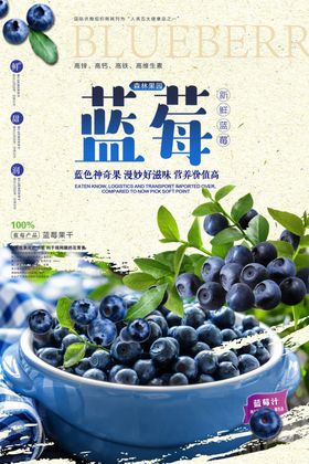 蓝莓海报
