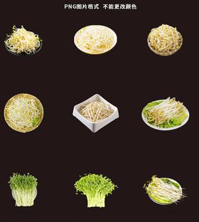 绿豆芽素材