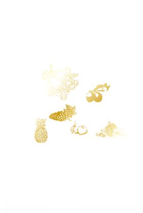 山楂菠萝桔子石榴青梅葡萄素描