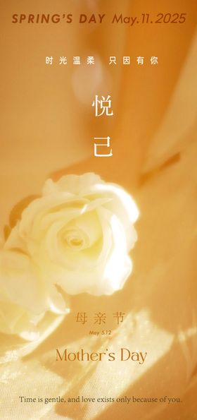 母亲节康乃馨玫瑰花情人节粉色优惠券菜