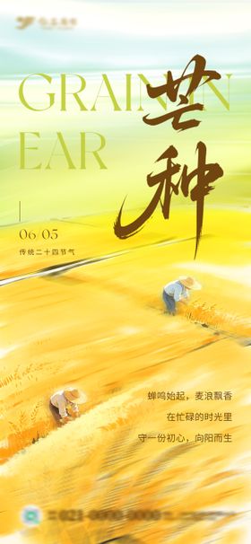 地产大气金色芒种节气海报
