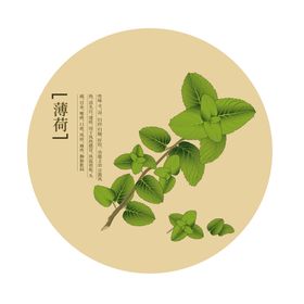 八款矢量手绘草本植物花卉