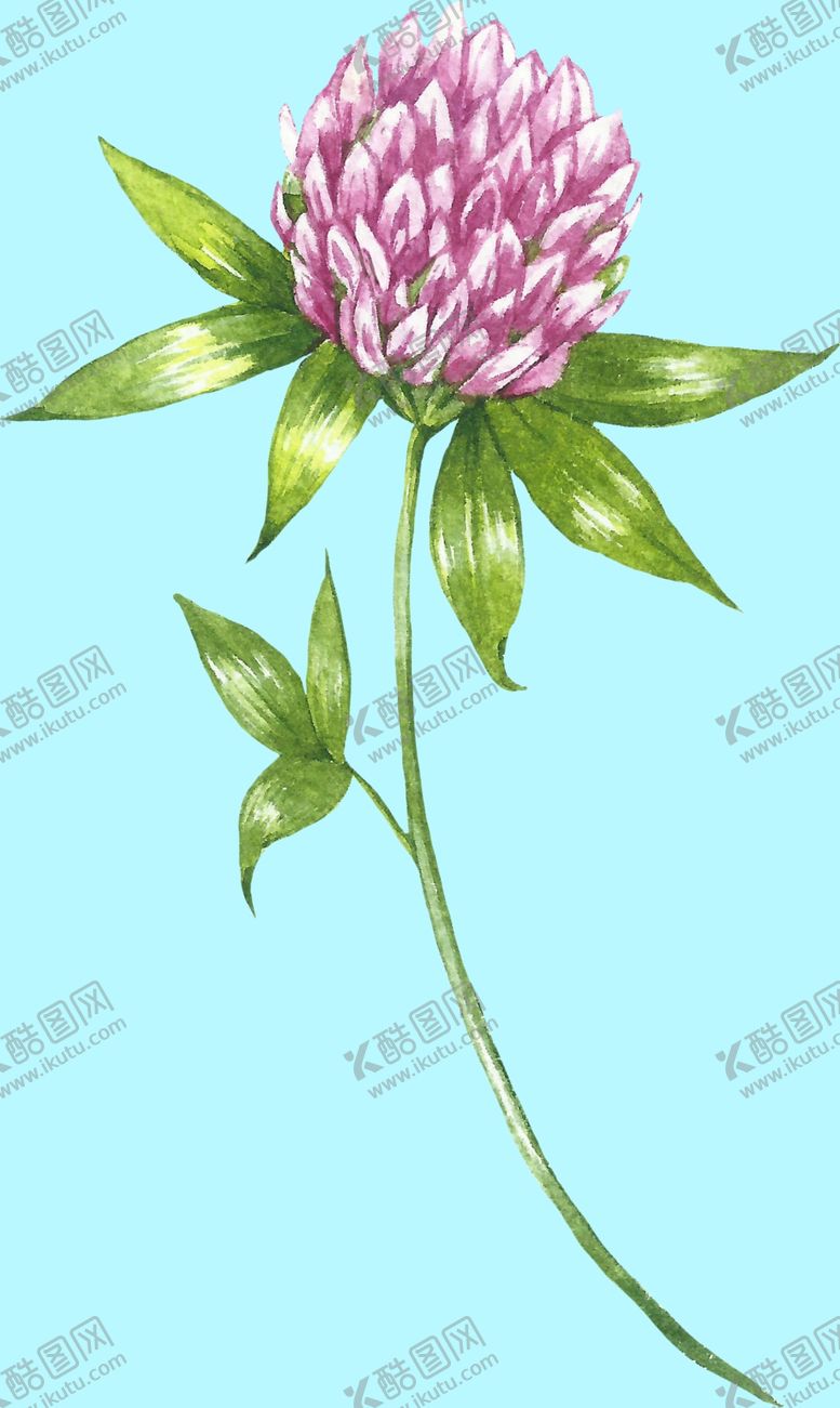 编号：41365806260719315192【酷图网】源文件下载-花卉树叶