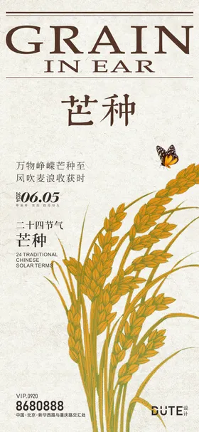 芒种海报