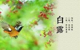 二十四节气灯箱