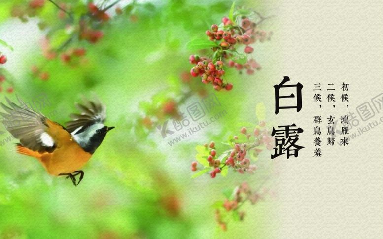 编号：88250310192150328559【酷图网】源文件下载-二十四节气灯箱