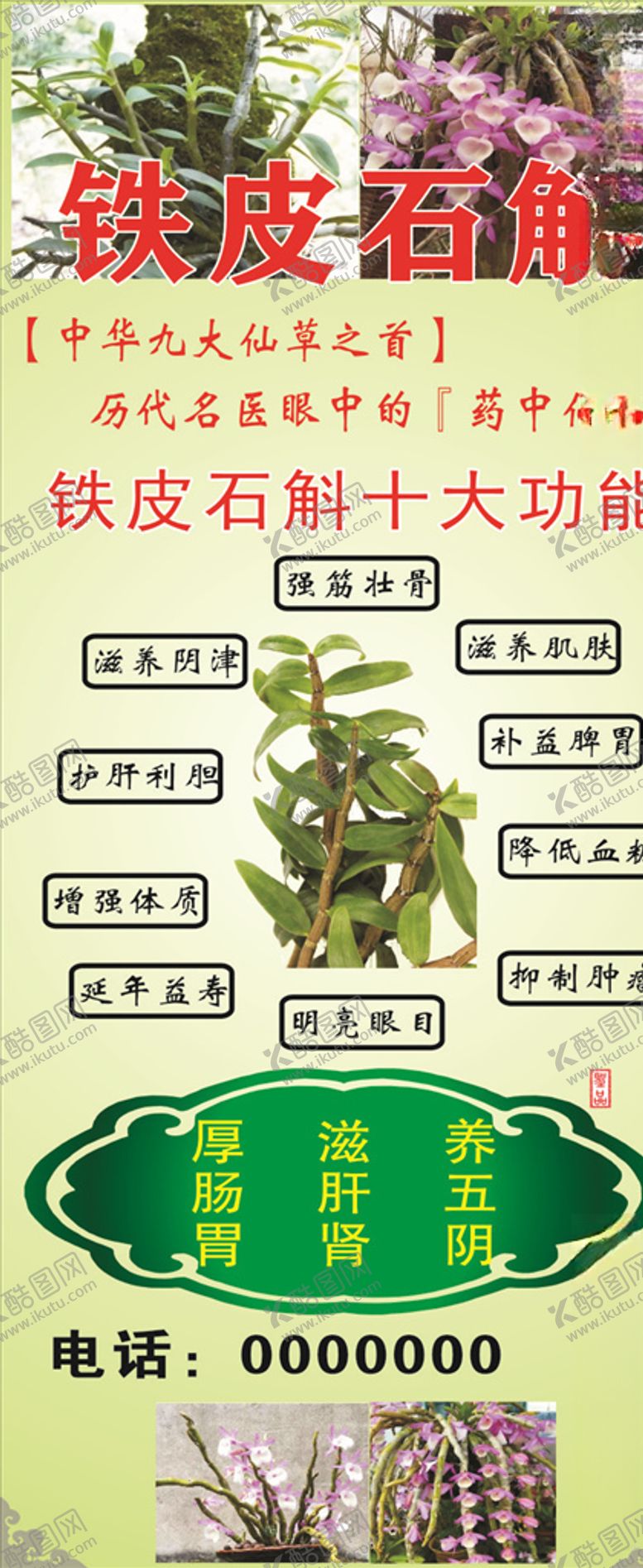 编号：24229806182251256537【酷图网】源文件下载-铁皮石斛