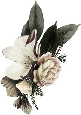装饰花png