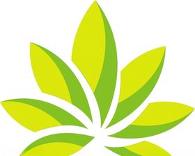 植物、茶叶、食品、有机、环保标
