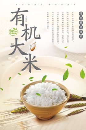 中国风绿色健康有机大米海报