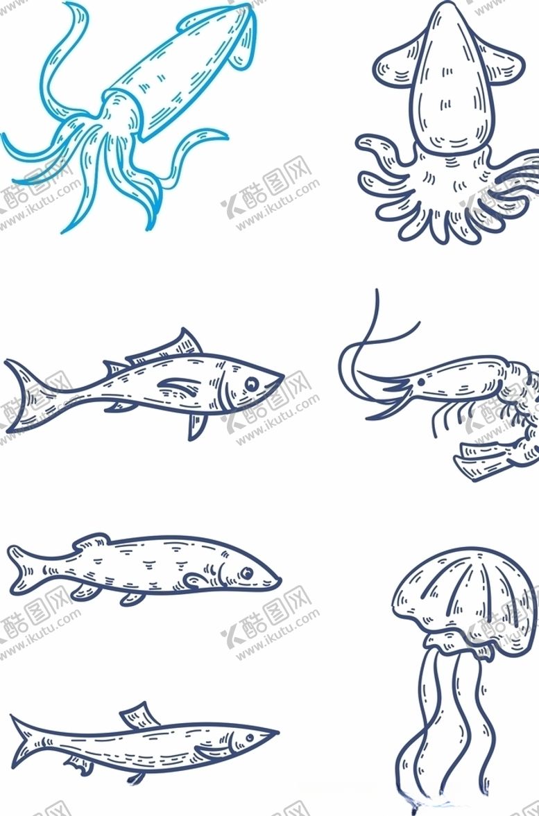 编号：94942406241540211936【酷图网】源文件下载-鱿鱼海鲜鱼矢量文件简笔画