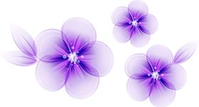 鲜花素材