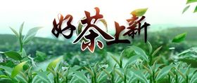 茶叶上新banner