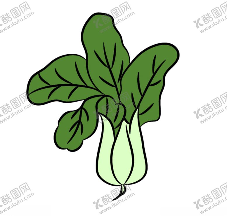 编号：70716410261327228746【酷图网】源文件下载-蔬菜