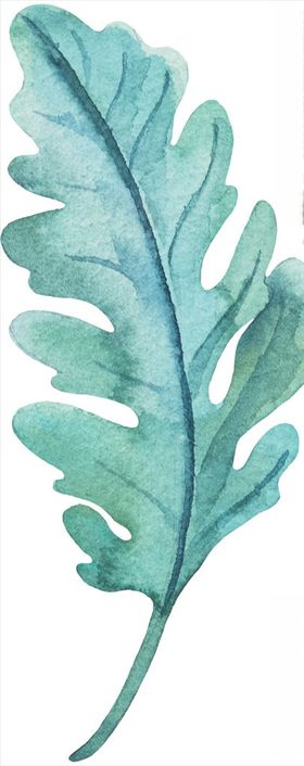 北欧手绘插画