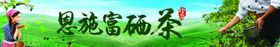 茶海报