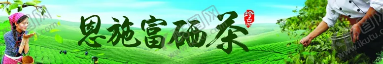 茶海报园春芽