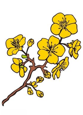 梅花上叁