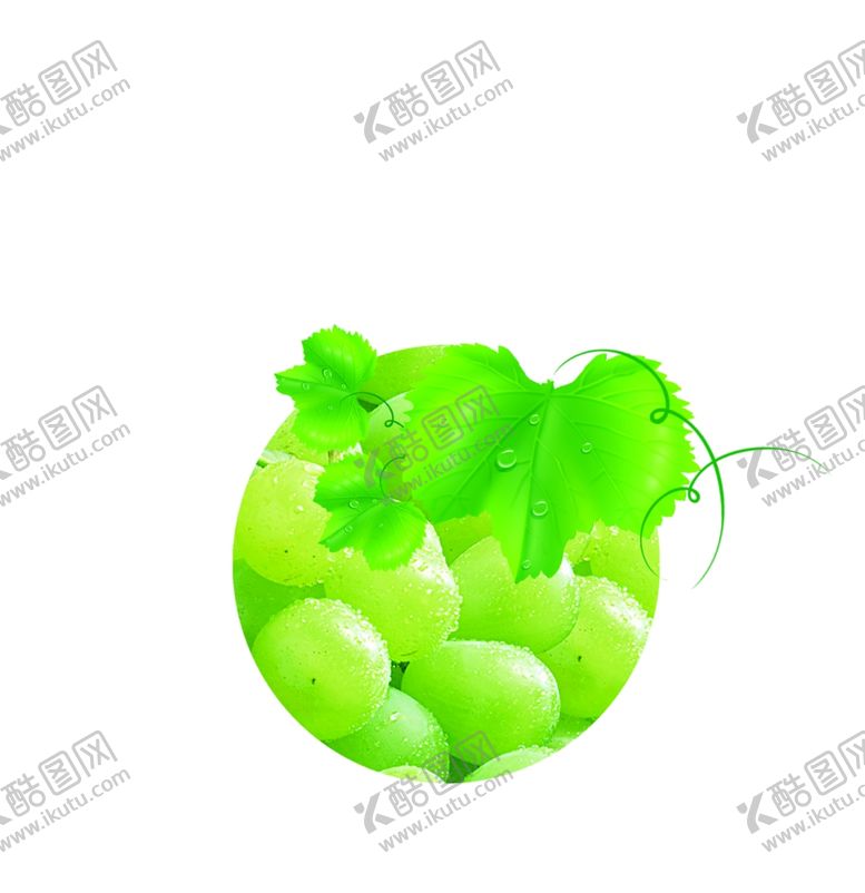 编号：10660409220801443967【酷图网】源文件下载-葡萄