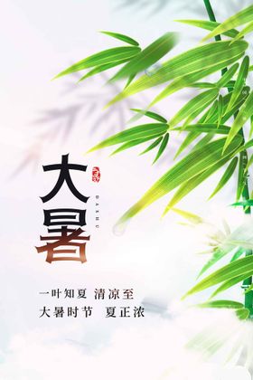 大暑借势宣传活动海报