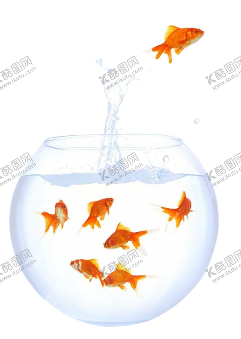 编号：38303707131404162775【酷图网】源文件下载-水花