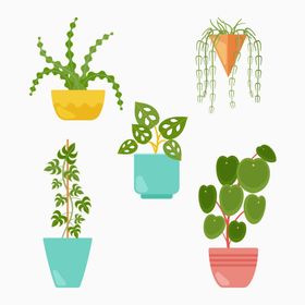 盆栽绿植插画卡通景