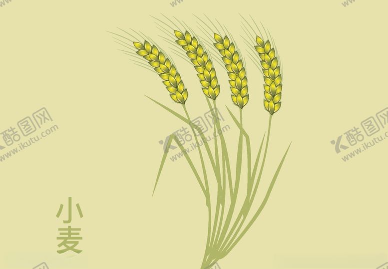 编号：20049005131818281591【酷图网】源文件下载-小麦